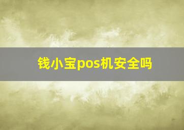 钱小宝pos机安全吗