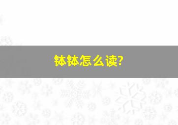 钵钵怎么读?