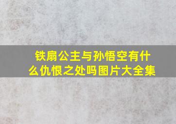 铁扇公主与孙悟空有什么仇恨之处吗图片大全集