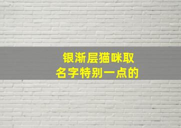 银渐层猫咪取名字特别一点的