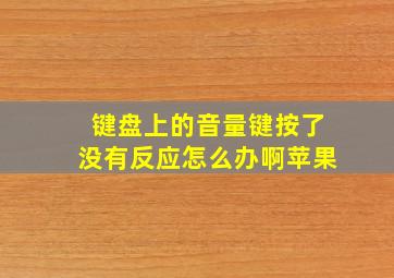 键盘上的音量键按了没有反应怎么办啊苹果