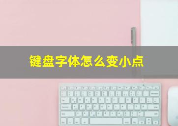 键盘字体怎么变小点