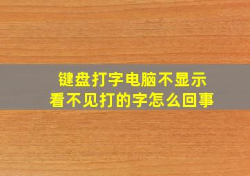 键盘打字电脑不显示看不见打的字怎么回事