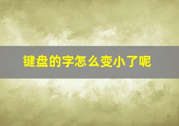 键盘的字怎么变小了呢