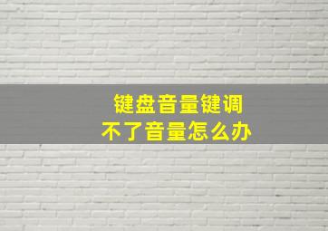 键盘音量键调不了音量怎么办