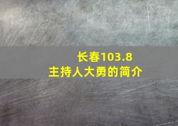 长春103.8主持人大勇的简介