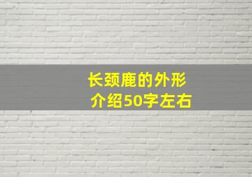 长颈鹿的外形介绍50字左右