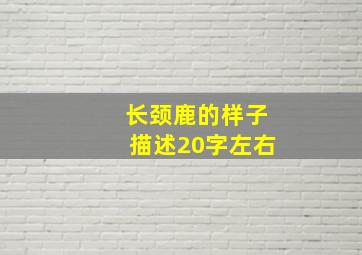 长颈鹿的样子描述20字左右