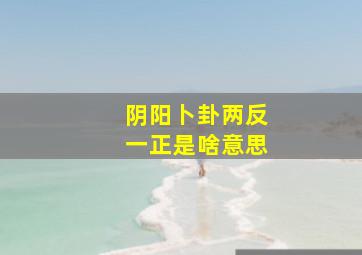 阴阳卜卦两反一正是啥意思