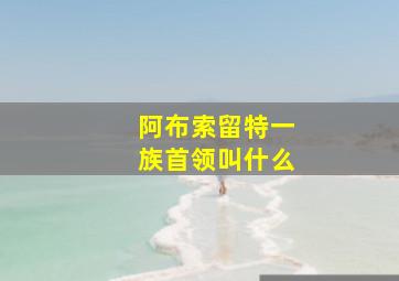 阿布索留特一族首领叫什么