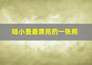 陆小曼最漂亮的一张照