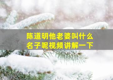 陈道明他老婆叫什么名子呢视频讲解一下