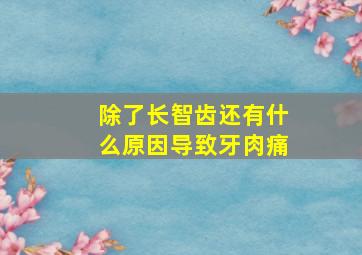 除了长智齿还有什么原因导致牙肉痛