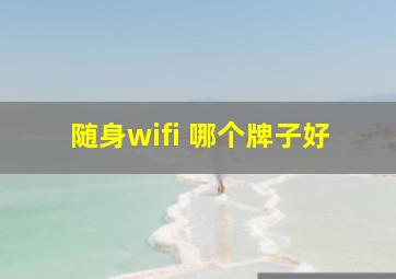 随身wifi 哪个牌子好