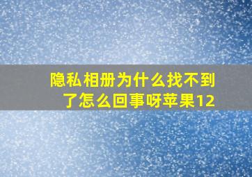 隐私相册为什么找不到了怎么回事呀苹果12