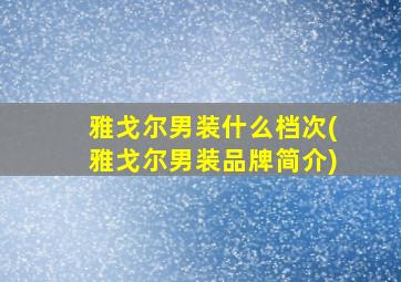 雅戈尔男装什么档次(雅戈尔男装品牌简介)