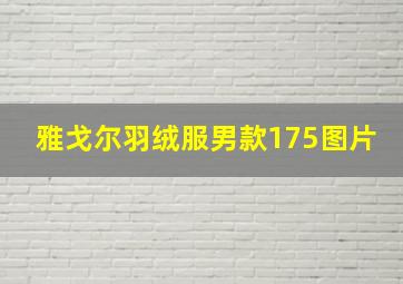 雅戈尔羽绒服男款175图片