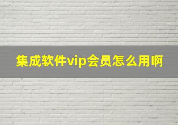 集成软件vip会员怎么用啊