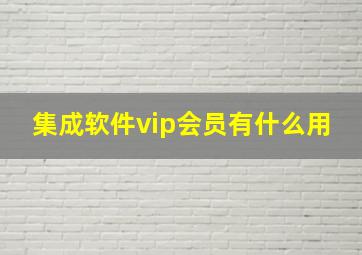 集成软件vip会员有什么用