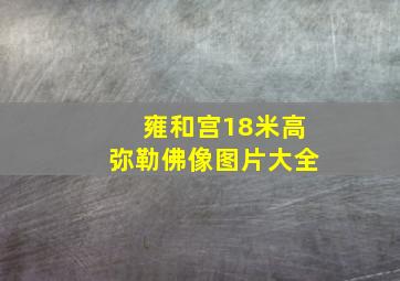 雍和宫18米高弥勒佛像图片大全