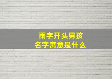 雨字开头男孩名字寓意是什么