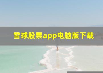 雪球股票app电脑版下载