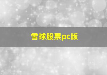 雪球股票pc版