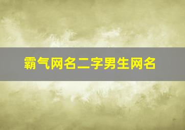 霸气网名二字男生网名