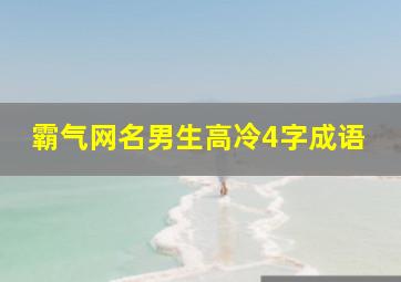 霸气网名男生高冷4字成语