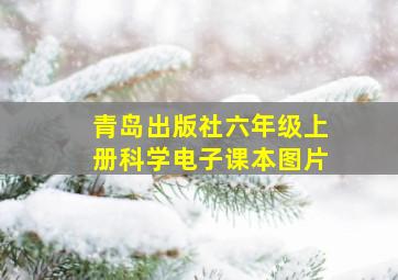 青岛出版社六年级上册科学电子课本图片