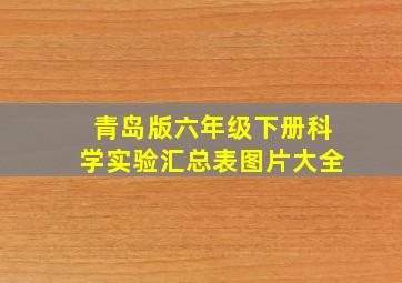 青岛版六年级下册科学实验汇总表图片大全