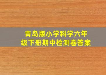 青岛版小学科学六年级下册期中检测卷答案