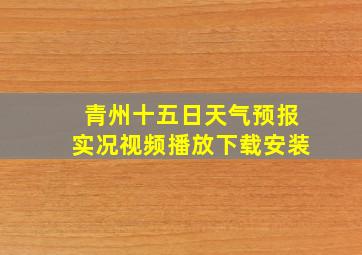 青州十五日天气预报实况视频播放下载安装