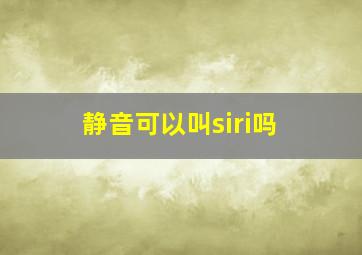 静音可以叫siri吗