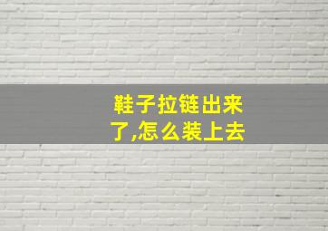 鞋子拉链出来了,怎么装上去