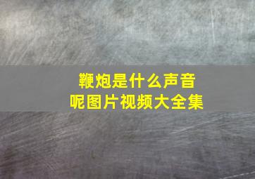 鞭炮是什么声音呢图片视频大全集