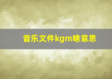 音乐文件kgm啥意思