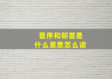 音序和部首是什么意思怎么读