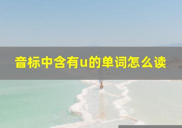 音标中含有u的单词怎么读