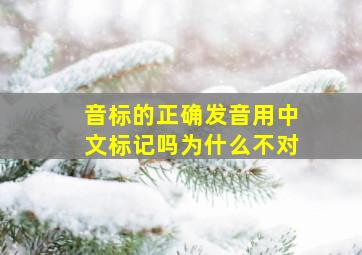 音标的正确发音用中文标记吗为什么不对