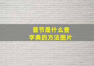 音节是什么查字典的方法图片