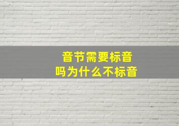 音节需要标音吗为什么不标音