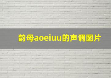 韵母aoeiuu的声调图片