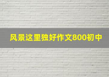 风景这里独好作文800初中