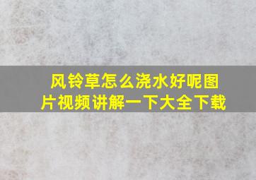 风铃草怎么浇水好呢图片视频讲解一下大全下载