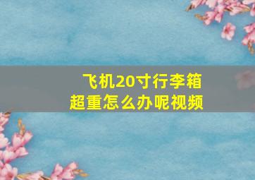 飞机20寸行李箱超重怎么办呢视频