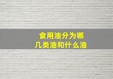 食用油分为哪几类油和什么油