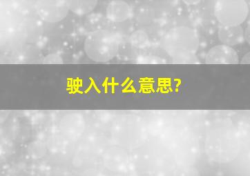 驶入什么意思?