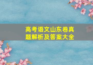 高考语文山东卷真题解析及答案大全