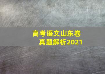 高考语文山东卷真题解析2021